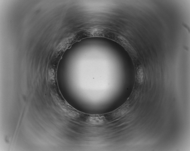 X0000102820571200808181248