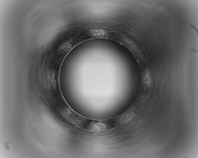 X0000102820572200808181248