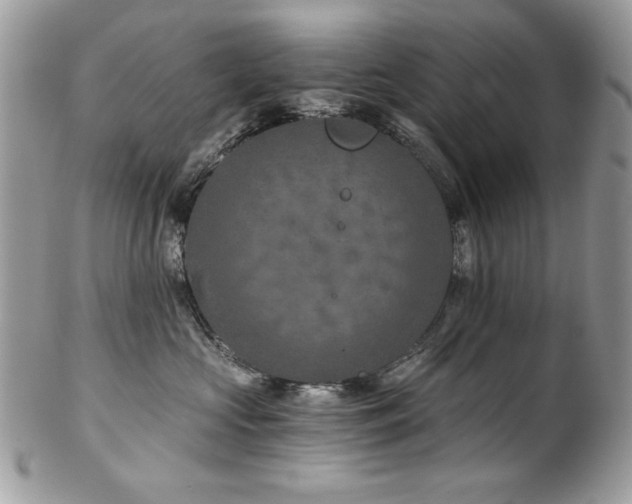 X0000102820573200808181248