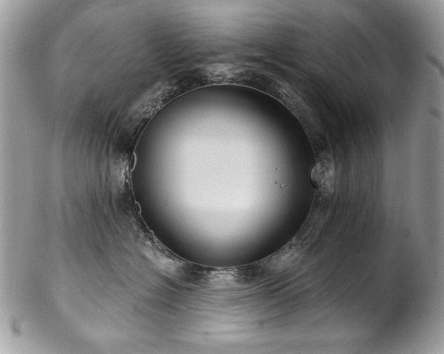 X0000102820574200808181248
