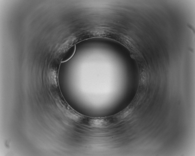 X0000102820575200808181249