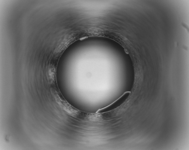 X0000102820576200808181249
