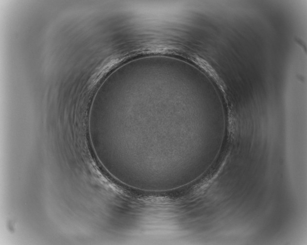 X0000102820577200808181248