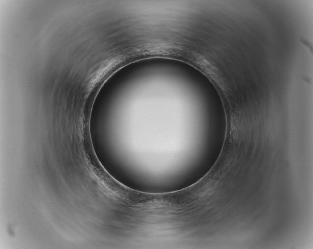 X0000102820578200808181248
