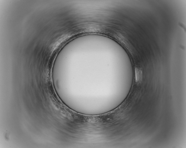 X0000102820579200808181248