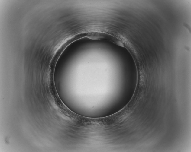 X0000102820580200808181248