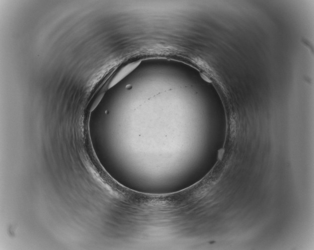 X0000102820581200808181248