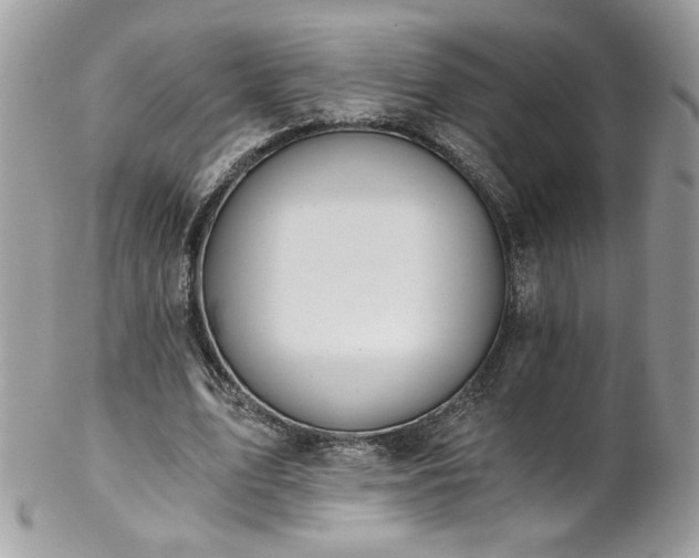 X0000102820583200808181248