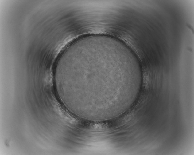 X0000102820584200808181248