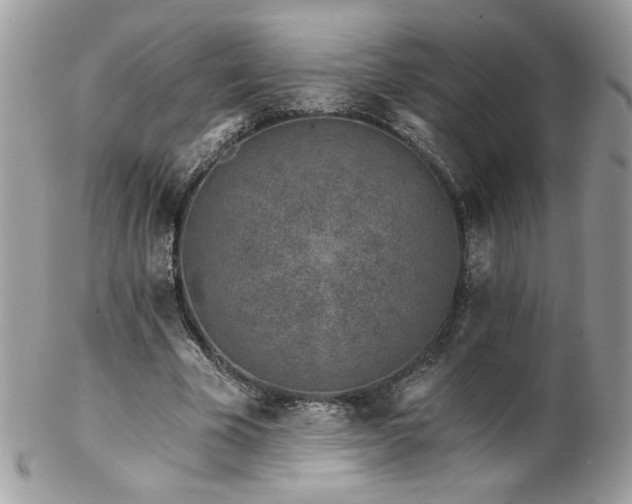 X0000102820585200808181247