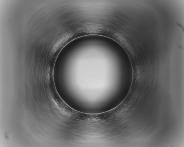 X0000102820586200808181247