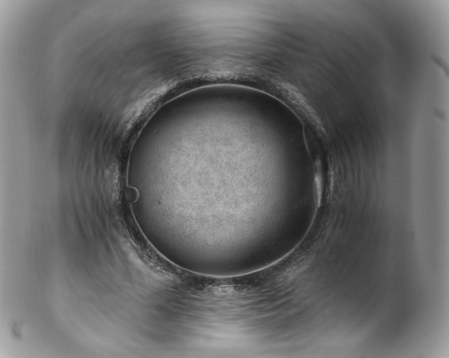 X0000102820588200808181247