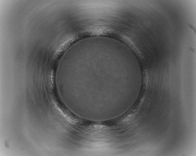 X0000102820590200808181247