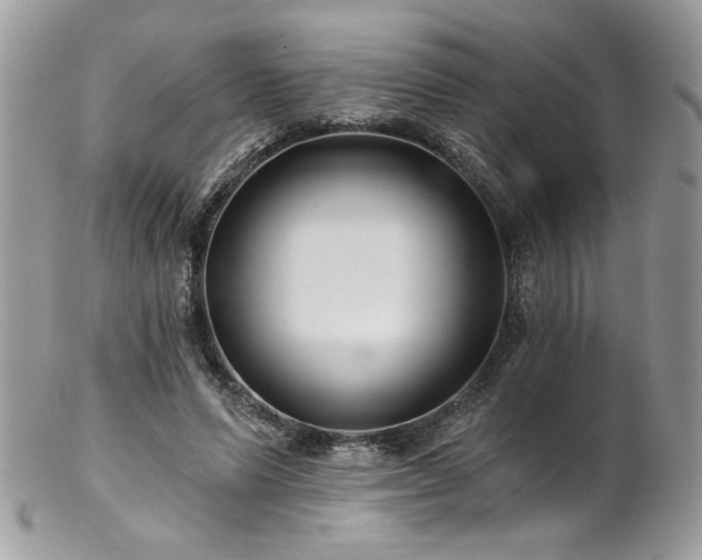 X0000102820591200808181247