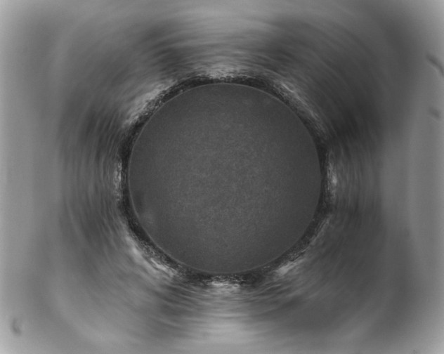 X0000102820592200808181247