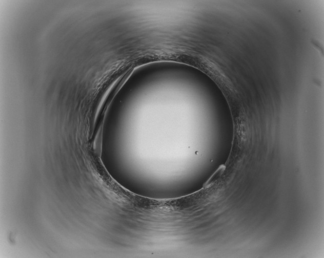 X0000102820593200808181247