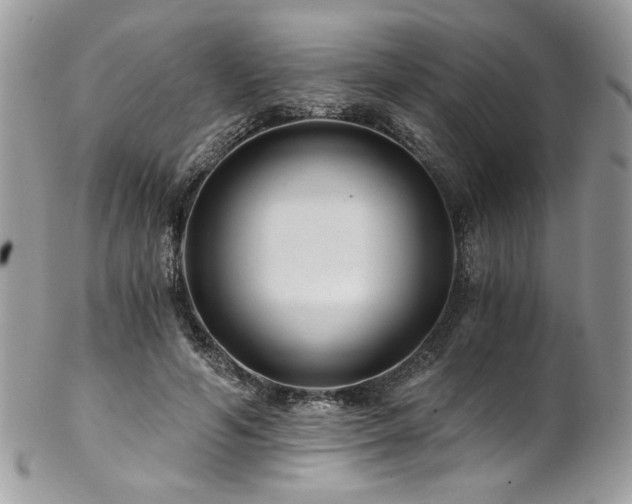 X0000102820594200808181247
