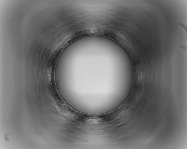 X0000102820595200808181247