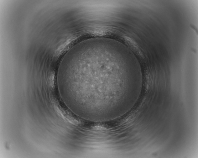 X0000102820596200808181247