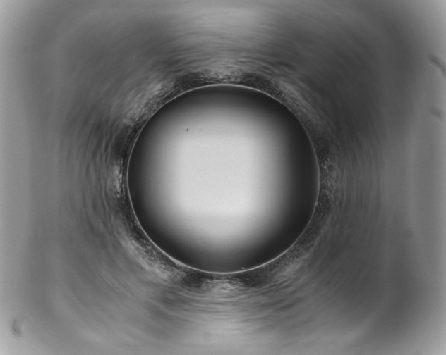 X0000102820597200808181247