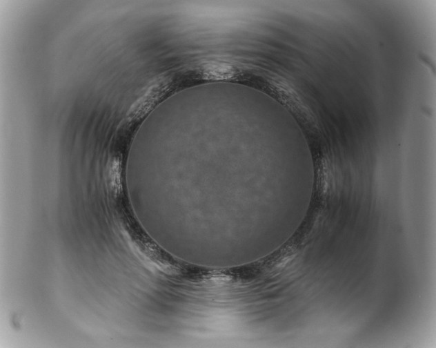 X0000102820598200808181247