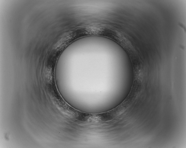 X0000102820599200808181247