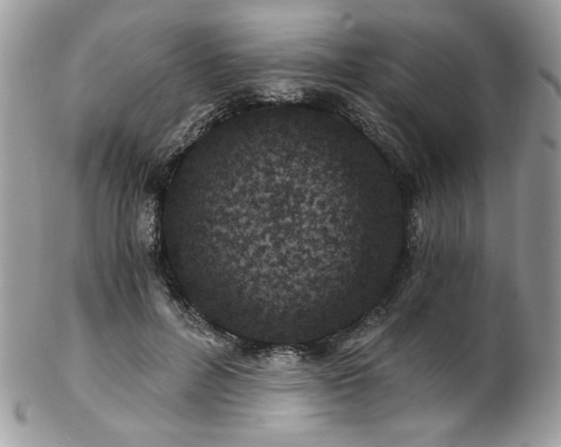 X0000102820600200808181247