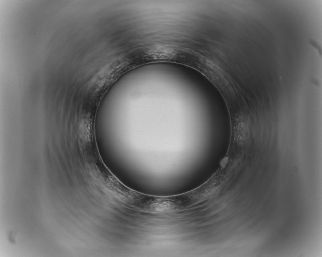 X0000102820604200808181247