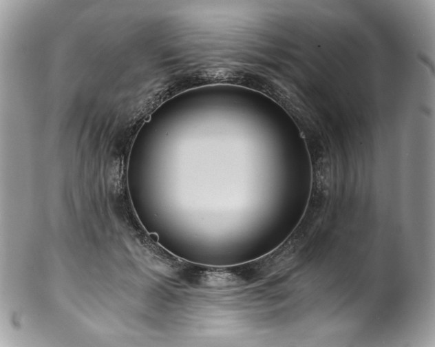 X0000102820605200808181247