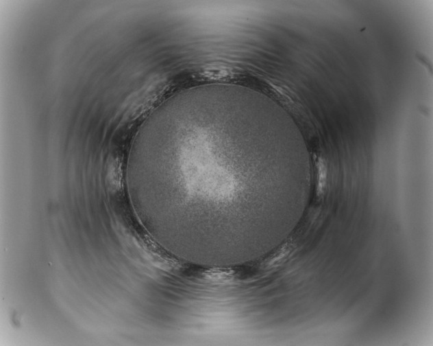 X0000102820606200808181247