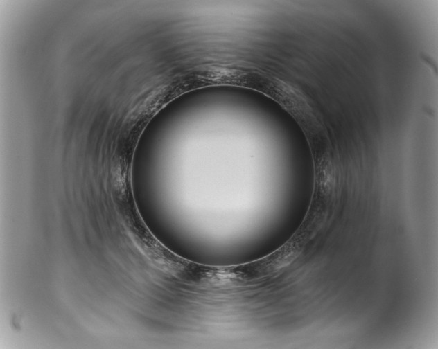 X0000102820607200808181247