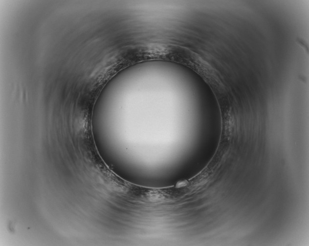 X0000102820608200808181247