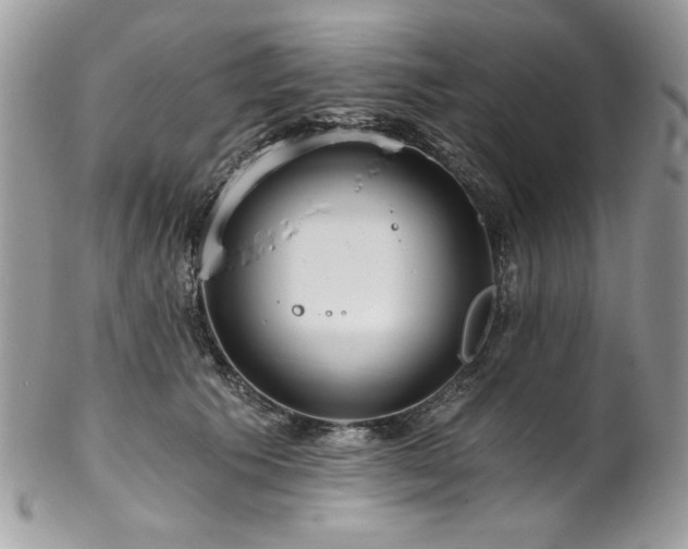 X0000102820609200808181247