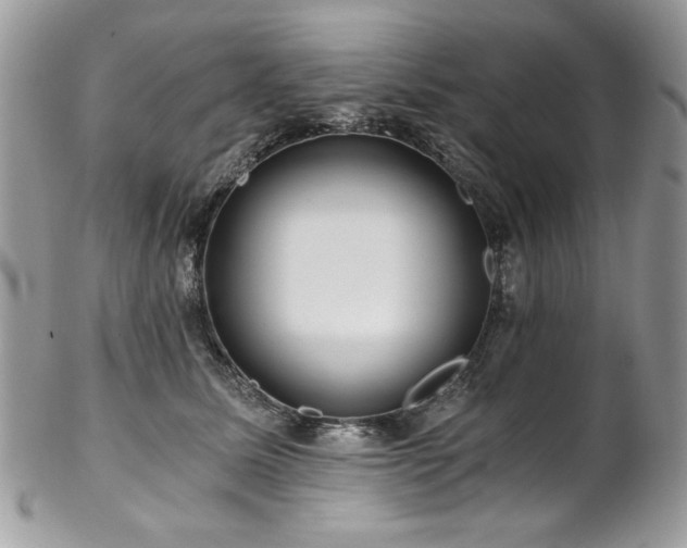 X0000102820611200808181247
