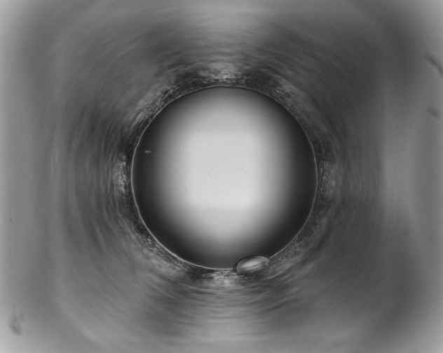 X0000102820612200808181247