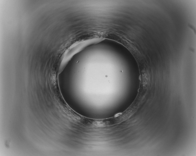 X0000102820613200808181247
