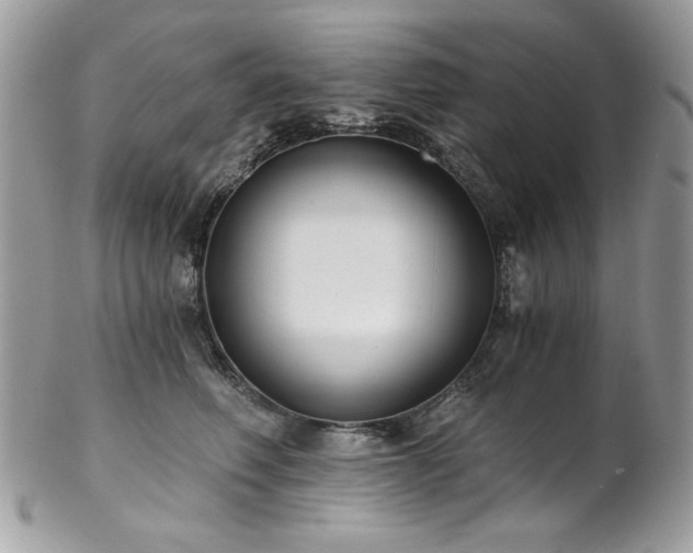 X0000102820614200808181247