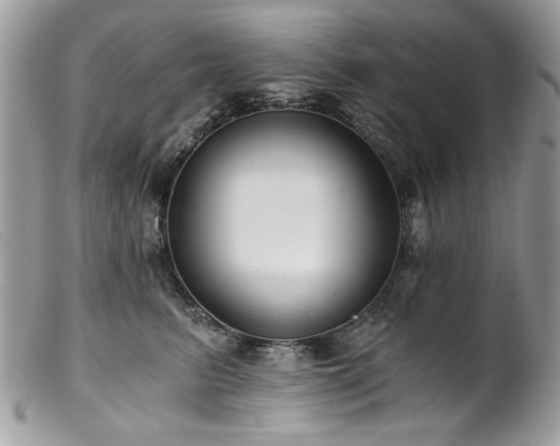 X0000102820615200808181247