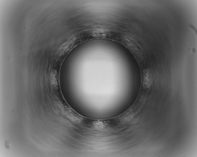 X0000102820616200808181247