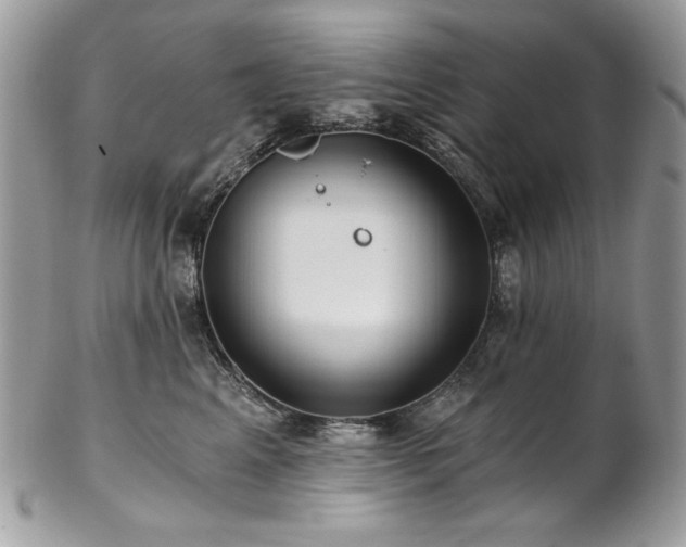 X0000102820617200808181247