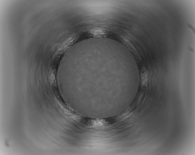 X0000102820618200808181247