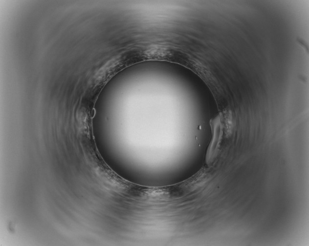 X0000102820619200808181247
