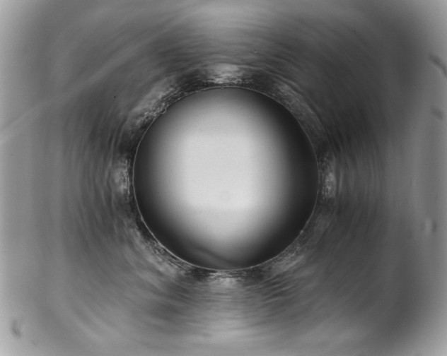 X0000102820620200808181247