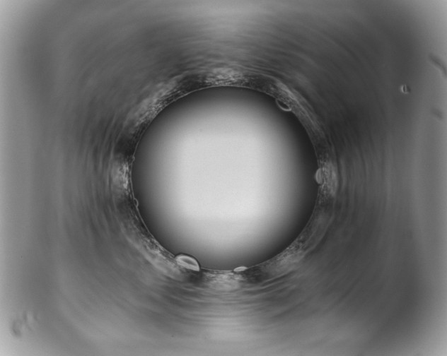 X0000102820621200808181247