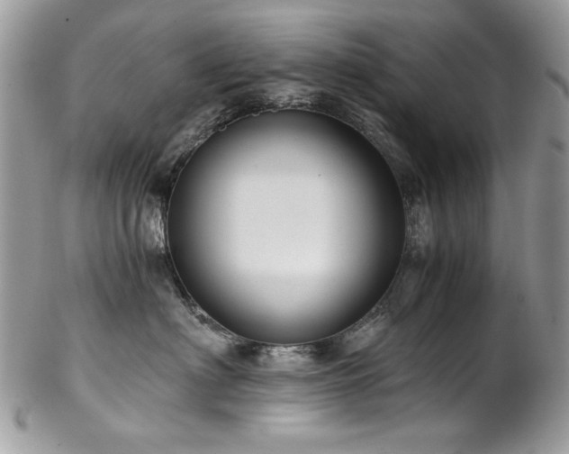 X0000102820622200808181247