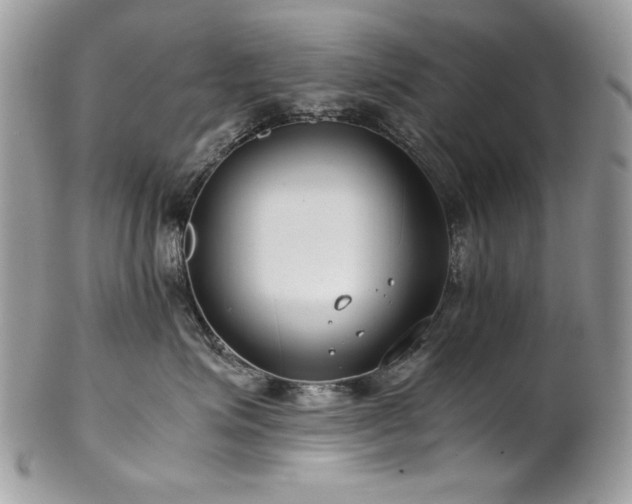 X0000102820623200808181247