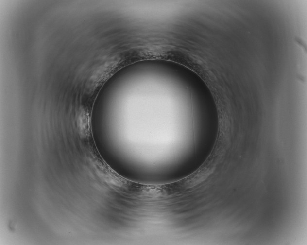 X0000102820624200808181247
