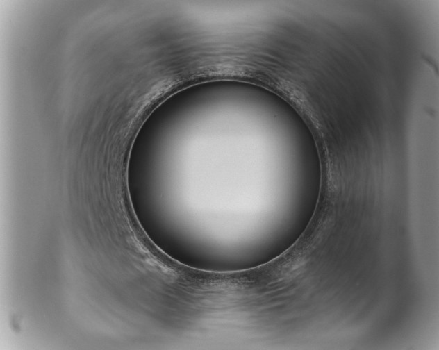 X0000102820625200808181246