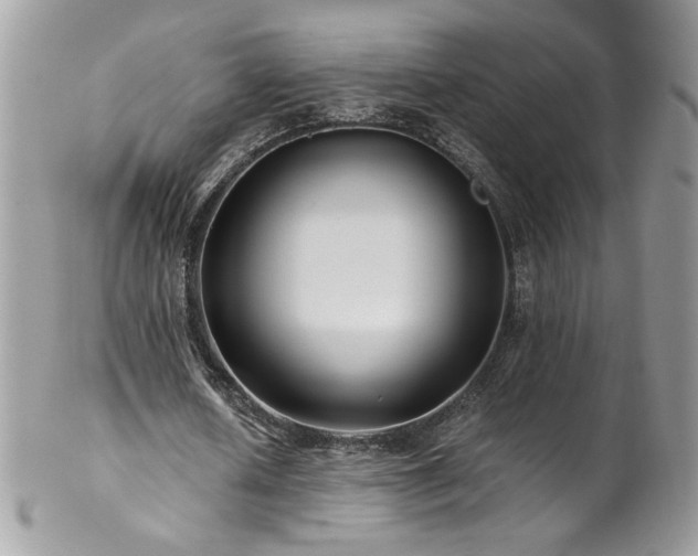 X0000102820626200808181246