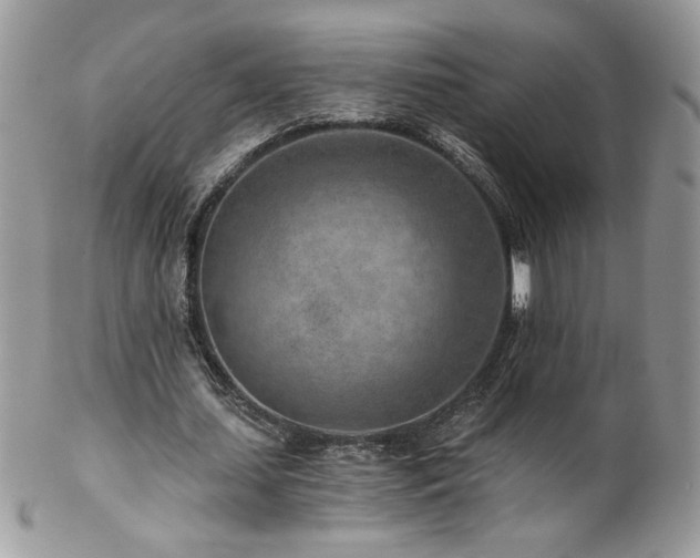 X0000102820627200808181246